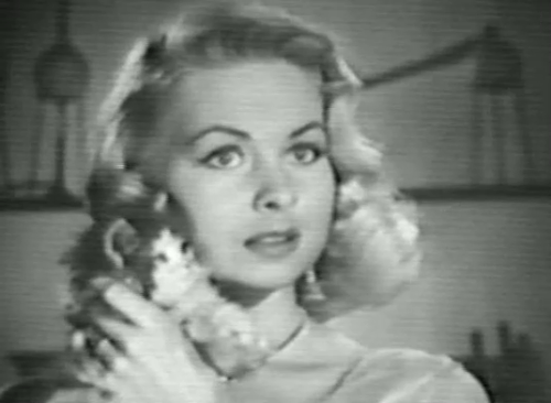 Colgate Theatre - The Fountain of Youth - Caroline Joi Lansing startled by longhair bicolor tabby kitten which she drops and Dr. Baxter Dan Tobin animated gif