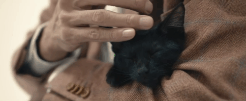 Mad Cats - Mune So Yamanaka holding black kitten in white void animated gif