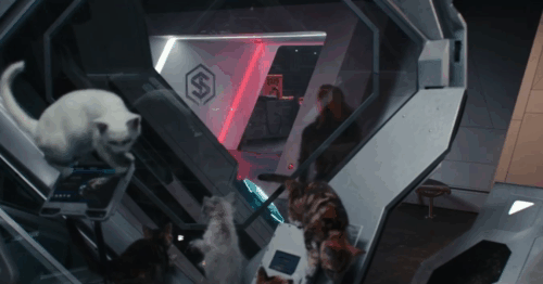 The Marvels -  Flerkittens kittens floating in launched escape pod animated gif