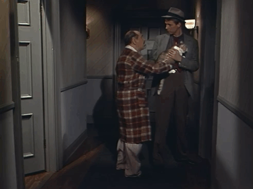 Night Court - The Birthday Visitor - calico cat being handed Mr. Grinsky to Judge Harry Stone Anderson in hallway animated gif
