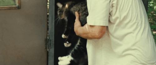 On the Road - Old Bull Lee Viggo Mortensen holding up longhair tabby and white cat then tossing him to Dean Garrett Hedlund animated gif