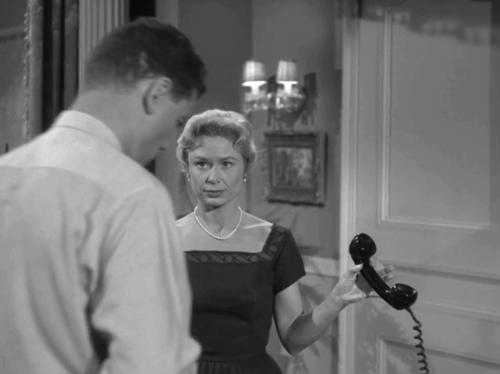 Perry Mason - The Case of the Golden Fraud - Sylvia Joyce Meadows stroking paw of Siamese cat while on the phone with Richard Arthur Franz animated gif