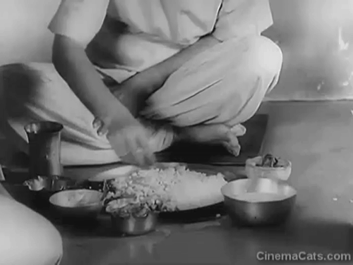 Three Daughters - Samapti - Amulya Soumitra Chatterjee eating with white kitten with markings and mother Gita Dey animated gif