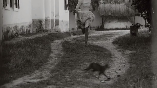 1945 - tabby cat running away from Rozsi Dora Sztarenki coming down lane