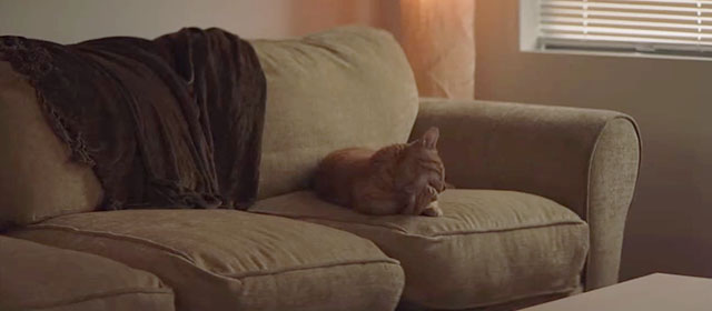 1BR - ginger tabby cat Giles on couch licking paw