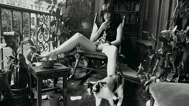 20th Century Women - black and white photograph of woman with calico cat