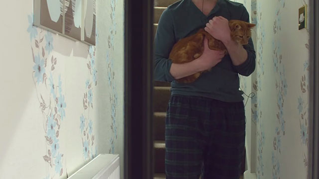 8 Minutes Idle - ginger tabby cat John Sinsir being carried down stairs