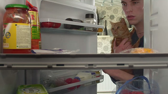 8 Minutes Idle - Dan Tom Hughes holding ginger tabby cat John Sinsir while looking in refrigerator