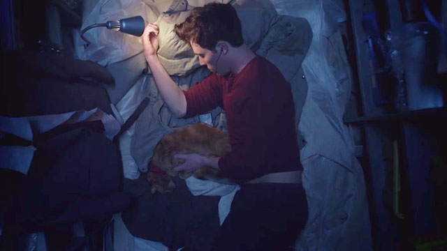 8 Minutes Idle - Dan Tom Hughes sleeping with ginger tabby cat John Sinsir