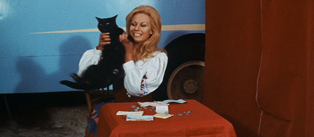 Assignment Terror - Los monstruos del terror - Ilona Gela Geisler picking up black cat