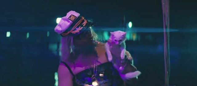 The Beach Bum - Moondog Matthew McConaughey holding tiny white kitten