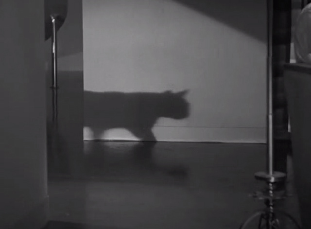 The Black Cat 1934 - cat's shadow on wall