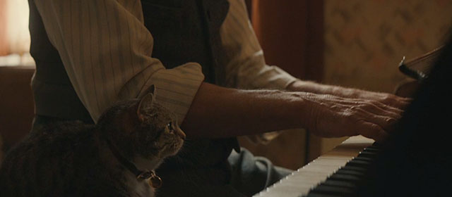 Blitz - brown tabby cat Olly sitting at piano with Gerald Paul Weller