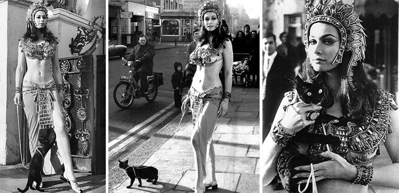 Blood From the Mummy's Tomb - pubicity shots of Valerie Leon wearing Egyptian queen dress with seal point Devon Rex cat Sunbronze Danny Boy on leash