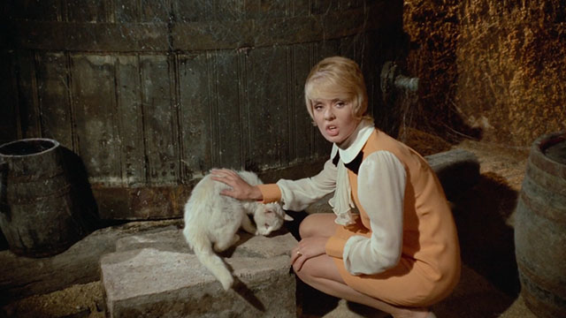 Bluebeard - Anne Joey Heatherton petting white cat by wine vat