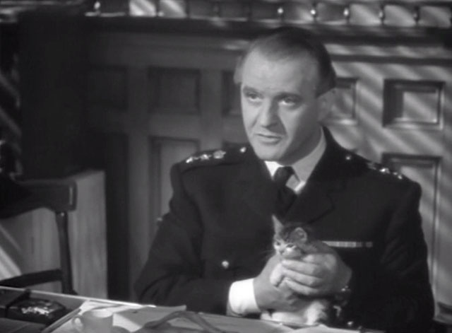 Cairo Road - Colonel Bey Eric Portman holding tiny tabby kitten at desk