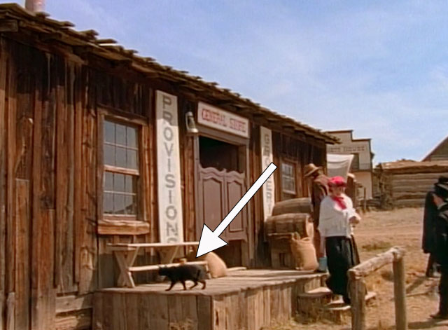 Cannibal the Musical - black cat standing on front porch of general store