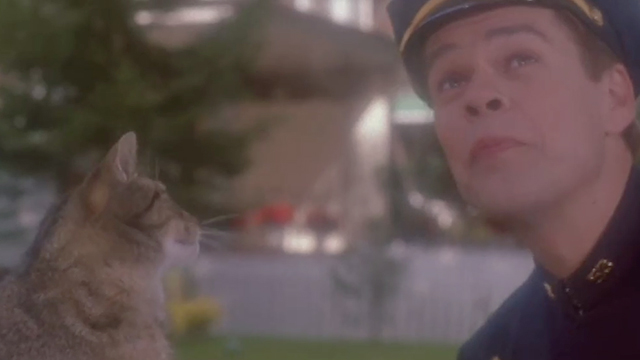 Car 54, Where Are You? - Officer Toody David Johansen with brown tabby cat