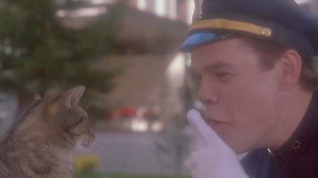 Car 54, Where Are You? - Officer Toody David Johansen scolding brown tabby cat