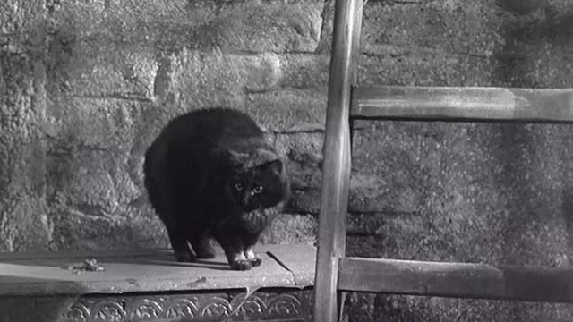 Carry On Constable - black cat in belfry