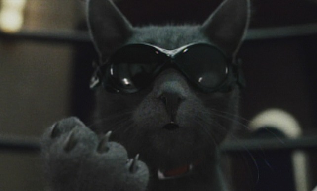 Cats & Dogs: The Revenge of Kitty Galore (2010) - IMDb