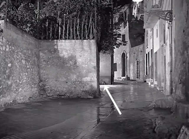 Cela s’appelle l’aurore - bicolor cat on street at night