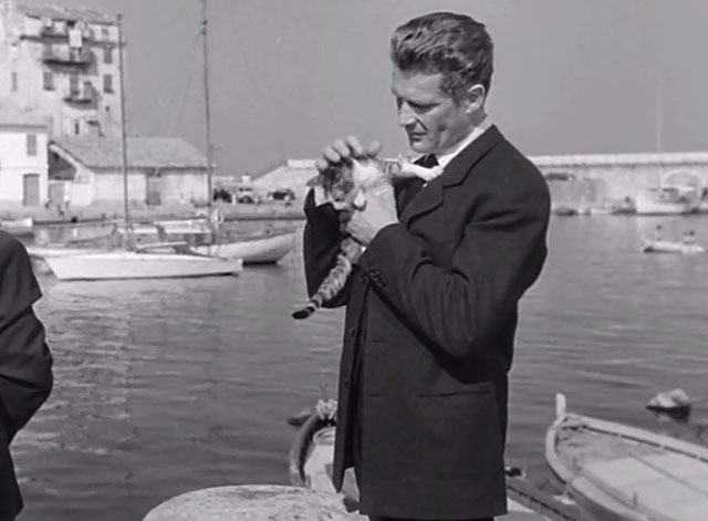 Cela s’appelle l’aurore - tabby and white young cat being petted by Doctor Valerio Georges Marchal