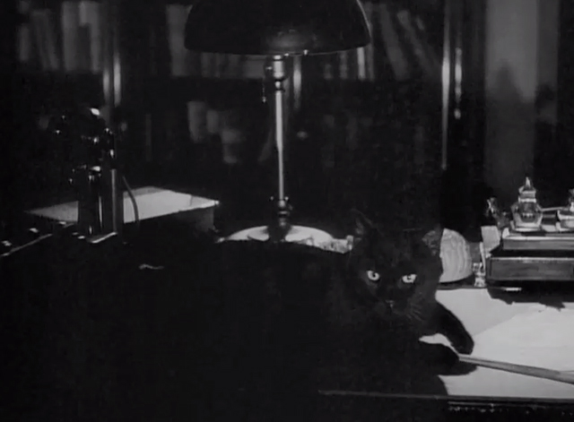 Charlie Chan in Panama - black cat lying on desk