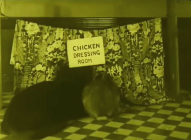 Chicken Dressing - black cat and rabbit peeking into chicken dressing room