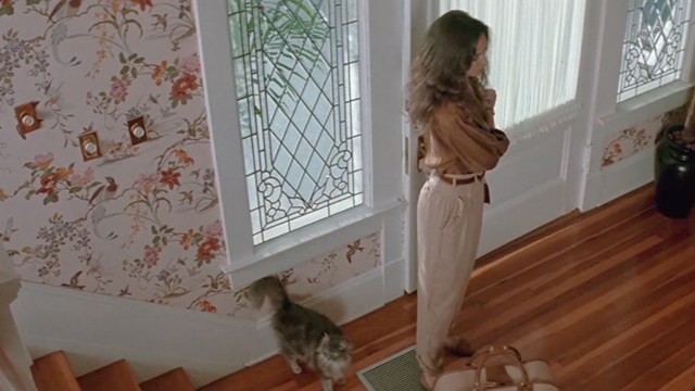 China Moon - Rachel Madeleine Stowe entering house with long-haired tabby cat waiting by door