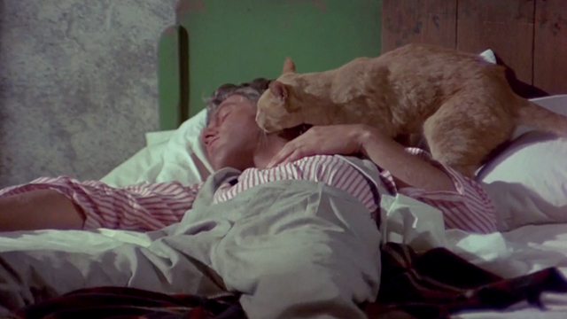 The Comic - Billy Bright Dick van Dyke on bed with ginger cat licking his face