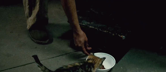 Contraband - Edwin Viktor Hernandez feeding tabby kitten on floor