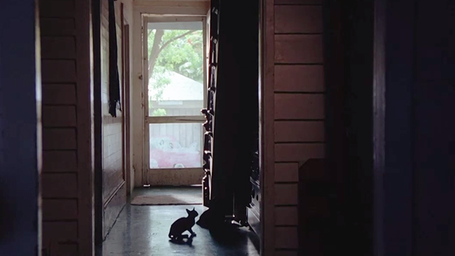 CrissCross - cats in backlit hallway