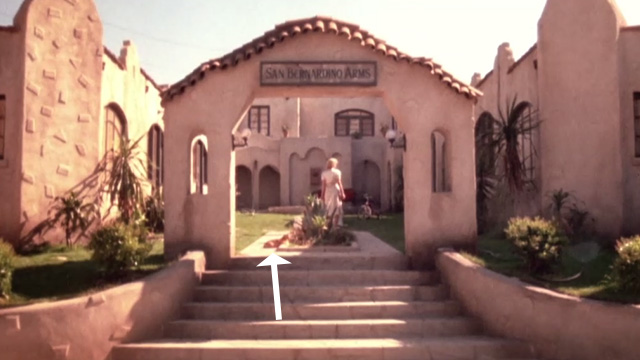 The Day of the Locust - Faye Karen Black walking through courtyard with ginger tabby cat nearby