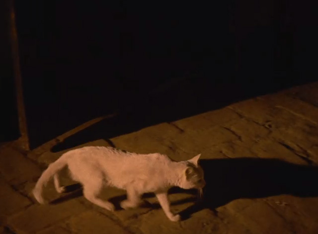 Death in the Garden - white cat walking across room