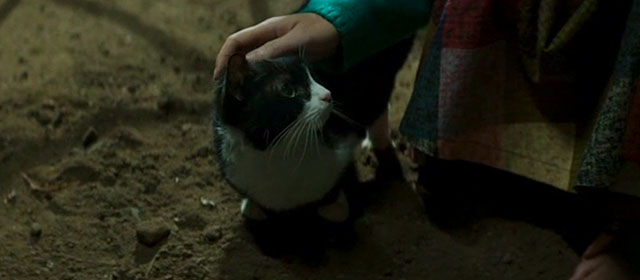 Decision to Leave - tuxedo cat being petted