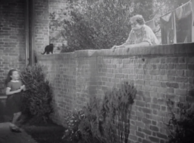 Demobbed - black cat sitting on garden wall with Norman Evans