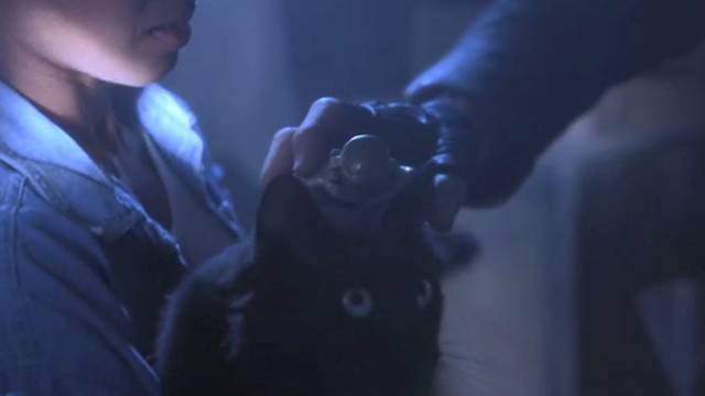 Tales from the Crypt Demon Knight - black cat Cleo being tested by Brayker