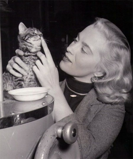 Desperate Moment - Mai Zetterling on set with tiny tabby kitten