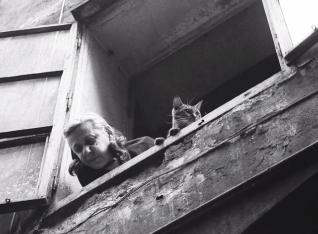 Diamonds of the Night - elderly woman and tabby cat looking down from window