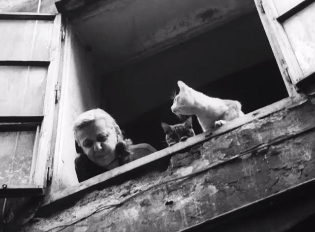 Diamonds of the Night - elderly woman with tabby cat and white cat looking down from window