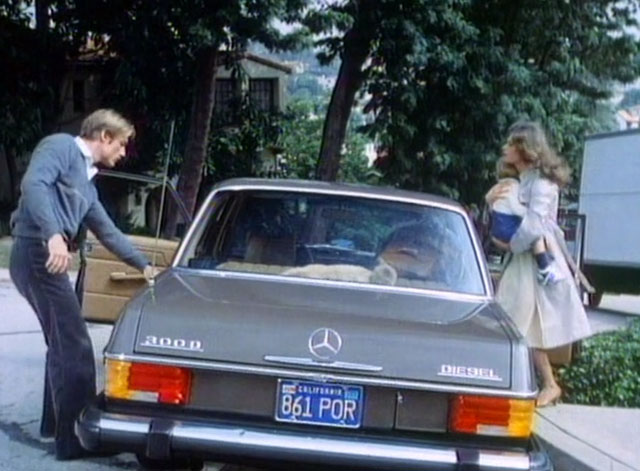 A Different Story - ginger tabby cat Chuck in back window of car with Stella Meg Foster and Albert Perry King