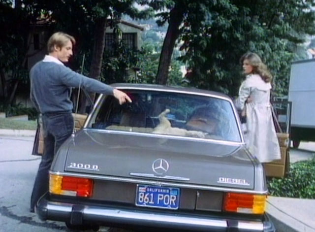 A Different Story - ginger tabby cat Chuck in back window of car with Stella Meg Foster and Albert Perry King