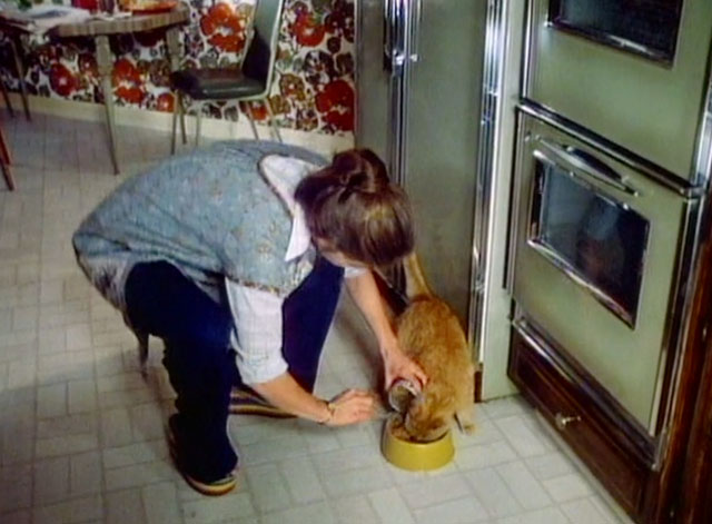 A Different Story - ginger tabby cat Chuck being fed on floor by Stella Meg Foster