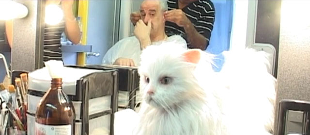 Il divo - fake white Persian cat sitting in foreground with Tony Sevillo in makeup chair in background