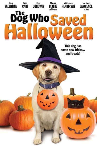 The Dog Who Saved Halloween - poster with dog Zeus and black cat Rufus Inky