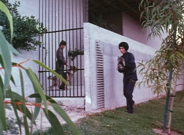 The Doomsday Machine - woman spy Chia Essie Lin carrying gray cat outside guarded wall