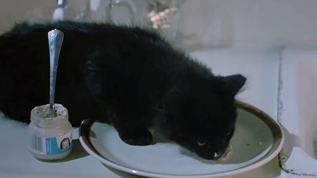 Double Trouble - black kitten eating baby food from plate