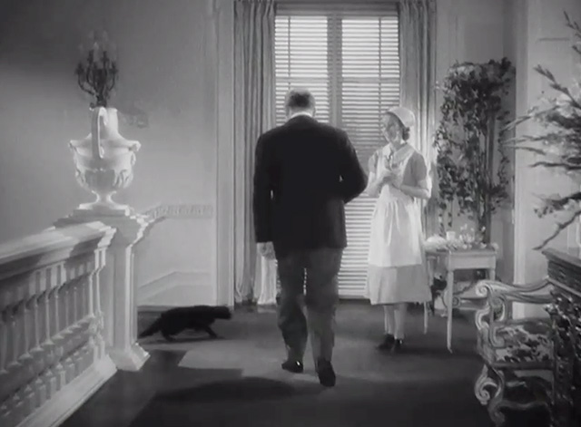 Easy Living - black cat running across path of J.B. Ball Edward Arnold