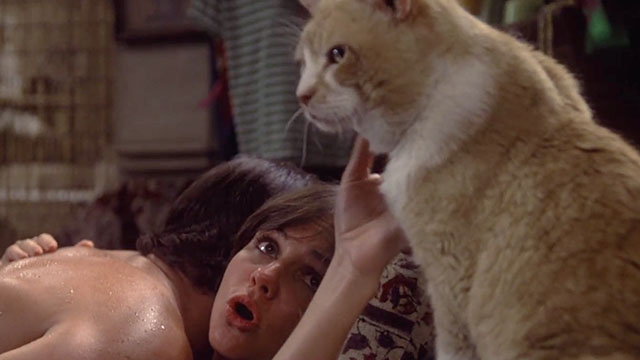 The End - ginger and white tabby cat being petted by Mary Ellen Sally Field as she makes out